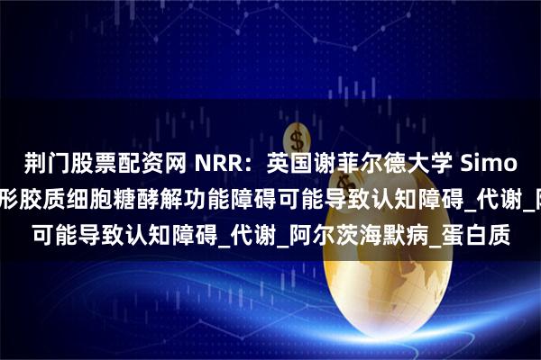 荆门股票配资网 NRR：英国谢菲尔德大学 Simon M Bell团队讨论星形胶质细胞糖酵解功能障碍可能导致认知障碍_代谢_阿尔茨海默病_蛋白质
